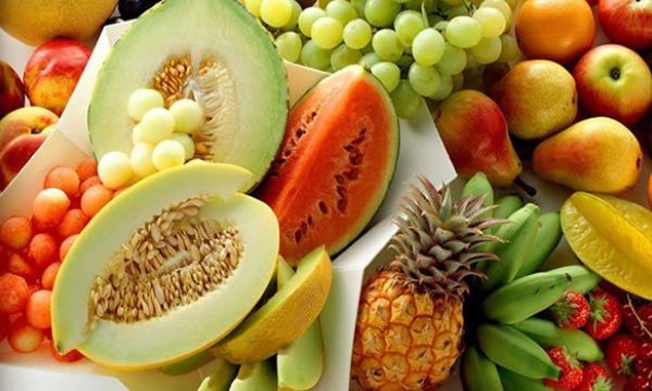 renovação celular por meio da nutrição