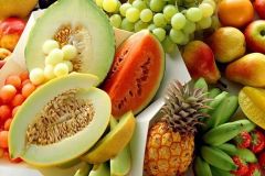 renovação celular por meio da nutrição